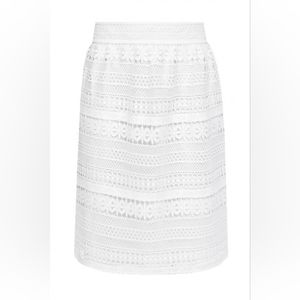 Burberry Carwinley Lace Skirt